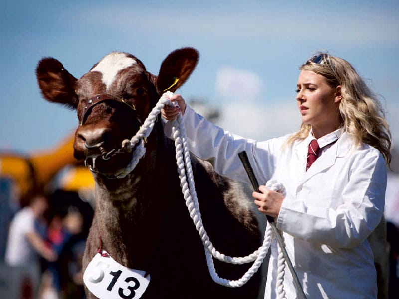 Ayr Country Show Saturday 13 May 2022. 9am5pm